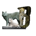 loup-543222-2.gif