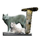 loup-543222-20.gif