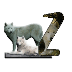 loup-543222-26.gif