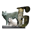 loup-543222-7.gif