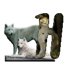 loup-543222-8.gif