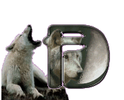 loup-998898-1.gif