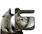 loup-998898-11.gif