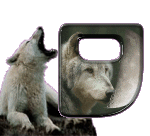 loup-998898-15.gif