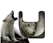 loup-998898-21.gif