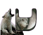 loup-998898-22.gif