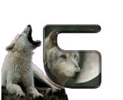 loup-998898-3.gif