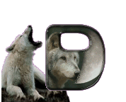 loup-998898-4.gif