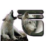 loup-998898-6.gif