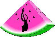 melon-0968888-10.jpg