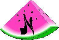 melon-0968888-14.jpg