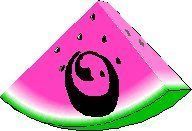 melon-0968888-15.jpg