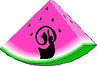 melon-0968888-16.jpg