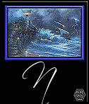 mer45999999-14.gif
