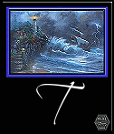 mer45999999-20.gif