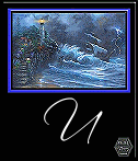 mer45999999-21.gif