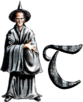 merlin7667-20.gif