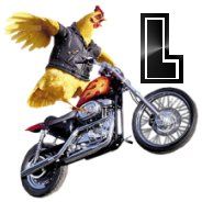 moto-6756575675767-12.jpg