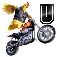 moto-6756575675767-21.jpg