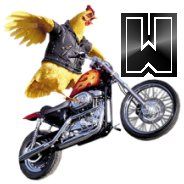moto-6756575675767-23.jpg