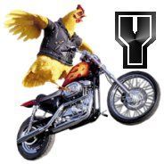 moto-6756575675767-25.jpg