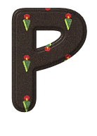 noel-65050004-16.png