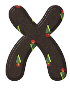 noel-65050004-24.png