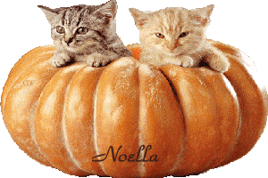 noellahallween2.gif