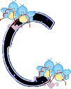 oiseau20101230_1-3.gif
