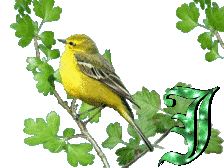 oiseau33223-10.gif