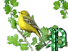 oiseau33223-16.gif