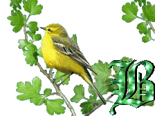 oiseau33223-2.gif