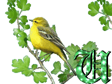 oiseau33223-21.gif