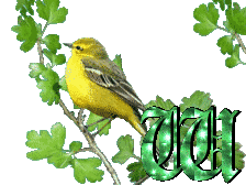 oiseau33223-23.gif