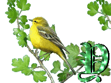 oiseau33223-25.gif
