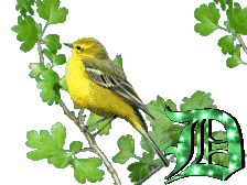 oiseau33223-4.gif