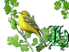 oiseau33223-8.gif