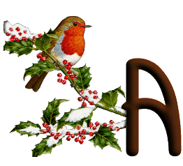 oiseau545489598689555-1.gif