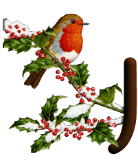 oiseau545489598689555-10.gif
