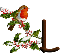 oiseau545489598689555-12.gif