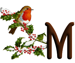 oiseau545489598689555-13.gif