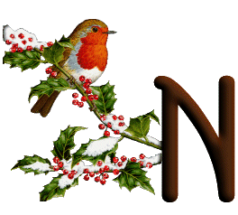 oiseau545489598689555-14.gif