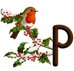 oiseau545489598689555-16.gif