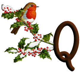 oiseau545489598689555-17.gif