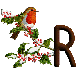 oiseau545489598689555-18.gif