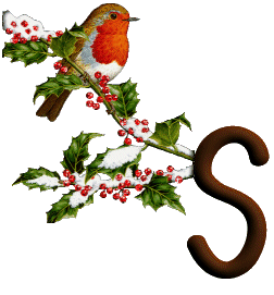 oiseau545489598689555-19.gif