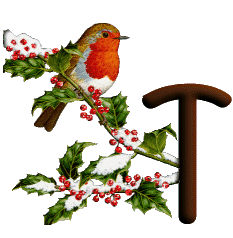 oiseau545489598689555-20.gif