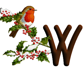oiseau545489598689555-23.gif