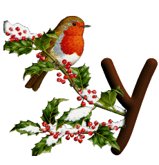 oiseau545489598689555-25.gif