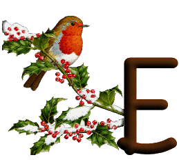 oiseau545489598689555-5.gif